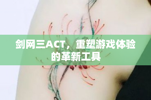 剑网三ACT,重塑游戏体验的革新工具 剑网三ACT,重塑游戏体验的革新工具