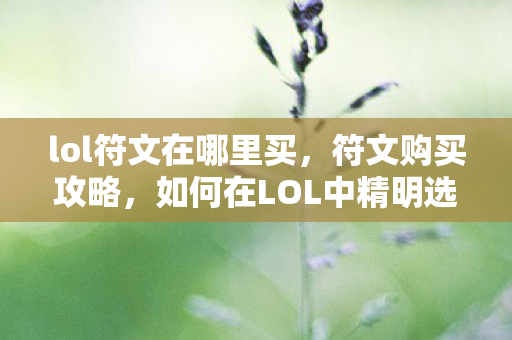 lol符文在哪里买,符文购买攻略,如何在LOL中精明选择符文 lol符文在哪里买,符文购买攻略,如何在LOL中精明选择符文
