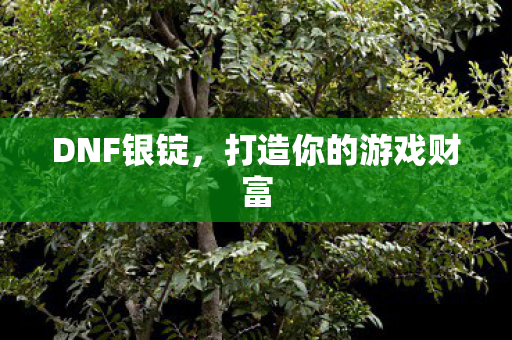 DNF银锭,打造你的游戏财富 DNF银锭,打造你的游戏财富