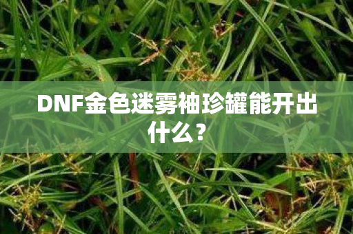 DNF金色迷雾袖珍罐能开出什么? DNF金色迷雾袖珍罐能开出什么?