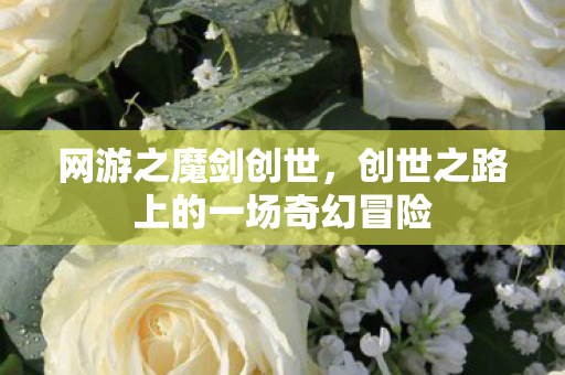 网游之魔剑创世，创世之路上的一场奇幻冒险