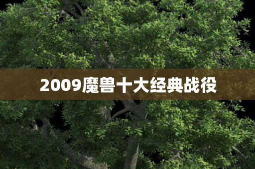 2009魔兽十大经典战役 2009魔兽十大经典战役