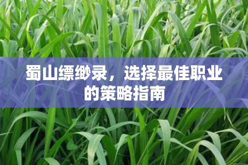 蜀山缥缈录,选择最佳职业的策略指南 蜀山缥缈录,选择最佳职业的策略指南