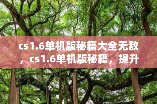 cs1.6单机版秘籍大全无敌，cs1.6单机版秘籍，提升游戏技巧与体验的全面指南