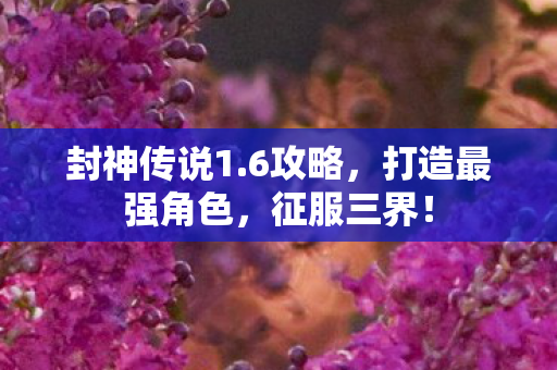 封神传说1.6攻略,打造最强角色,征服三界! 封神传说1.6攻略,打造最强角色,征服三界!