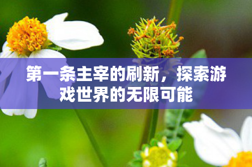 第一条主宰的刷新,探索游戏世界的无限可能 第一条主宰的刷新,探索游戏世界的无限可能
