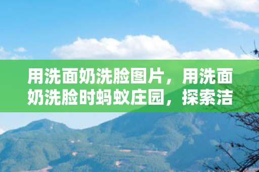 用洗面奶洗脸图片,用洗面奶洗脸时蚂蚁庄园,探索洁面新体验 用洗面奶洗脸图片,用洗面奶洗脸时蚂蚁庄园,探索洁面新体验