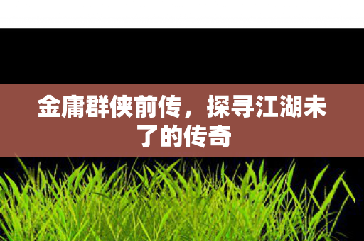 金庸群侠前传,探寻江湖未了的传奇 金庸群侠前传,探寻江湖未了的传奇