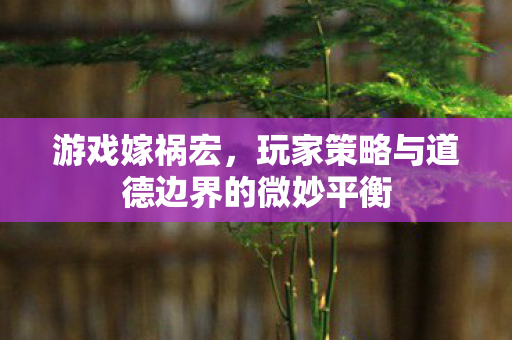 游戏嫁祸宏，玩家策略与道德边界的微妙平衡