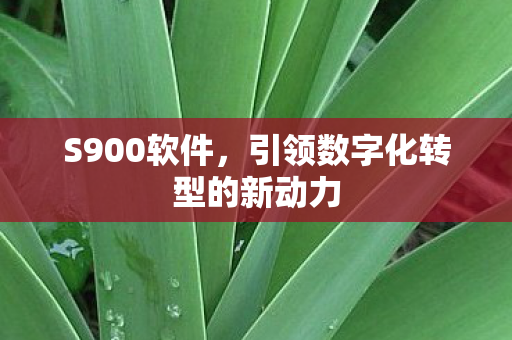 S900软件,引领数字化转型的新动力 S900软件,引领数字化转型的新动力