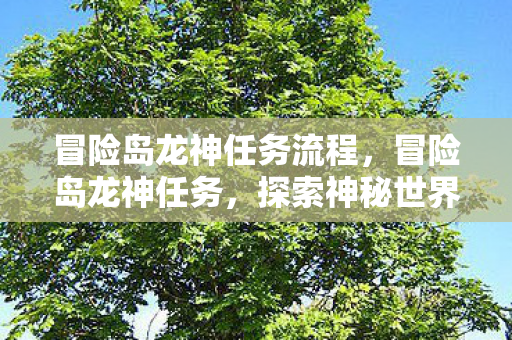 冒险岛龙神任务流程,冒险岛龙神任务,探索神秘世界的奇妙之旅 冒险岛龙神任务流程,冒险岛龙神任务,探索神秘世界的奇妙之旅