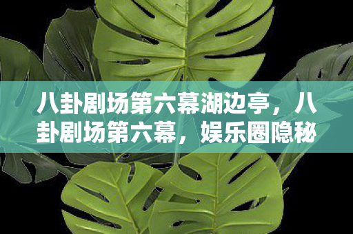 八卦剧场第六幕湖边亭图片