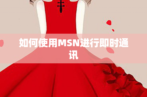 如何使用MSN进行即时通讯