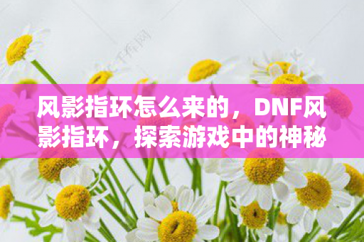 风影指环怎么来的，DNF风影指环，探索游戏中的神秘宝藏