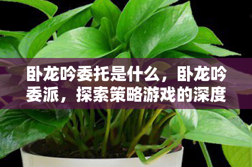 探索策略游戏的深度与广度图片