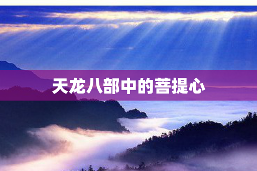 天龙八部中的菩提心 天龙八部中的菩提心