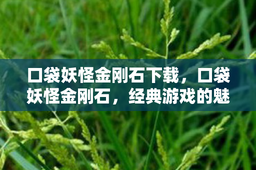 经典游戏的魅力与传承图片