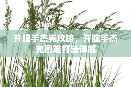 开膛手杰克攻略，开膛手杰克困难打法详解