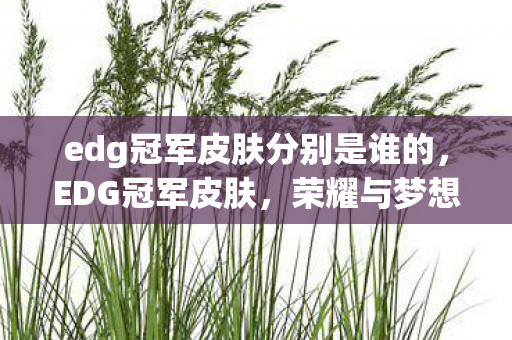 edg冠军皮肤分别是谁的,EDG冠军皮肤,荣耀与梦想的结晶 edg冠军皮肤分别是谁的,EDG冠军皮肤,荣耀与梦想的结晶