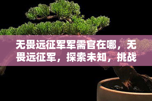 无畏远征军军需官在哪图片