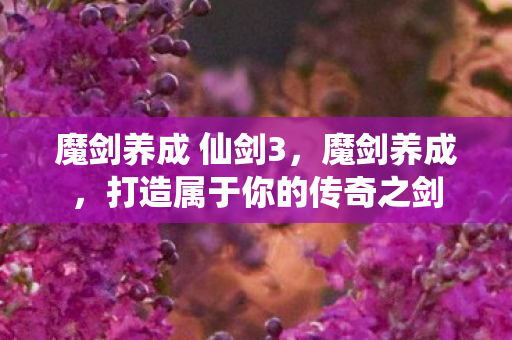 魔剑养成 仙剑3,魔剑养成,打造属于你的传奇之剑 魔剑养成 仙剑3,魔剑养成,打造属于你的传奇之剑
