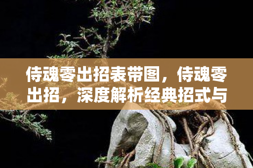侍魂零出招表带图，侍魂零出招，深度解析经典招式与策略