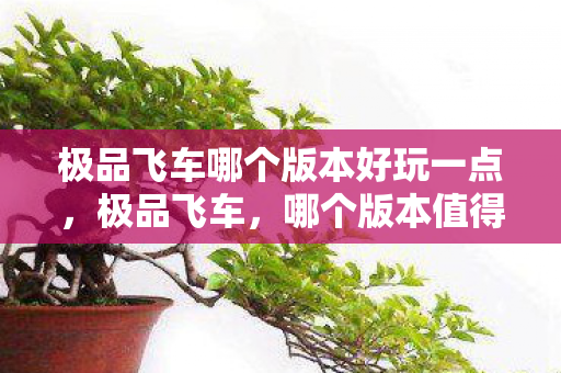极品飞车哪个版本好玩一点,极品飞车,哪个版本值得一玩? 极品飞车哪个版本好玩一点,极品飞车,哪个版本值得一玩?