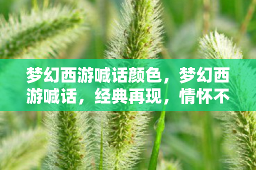 梦幻西游喊话颜色图片