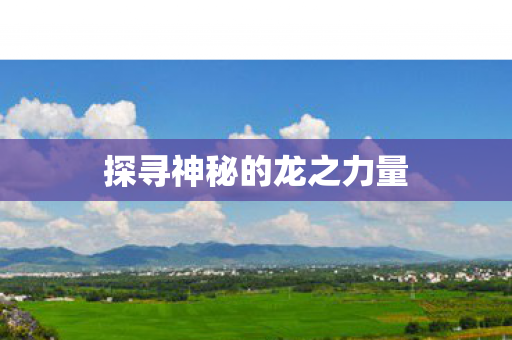 探寻神秘的龙之力量 探寻神秘的龙之力量