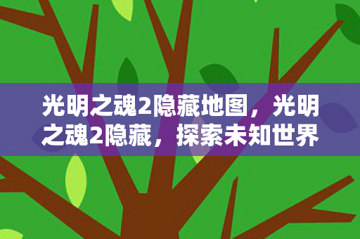 光明之魂2隐藏地图,光明之魂2隐藏,探索未知世界的神秘之旅 光明之魂2隐藏地图,光明之魂2隐藏,探索未知世界的神秘之旅