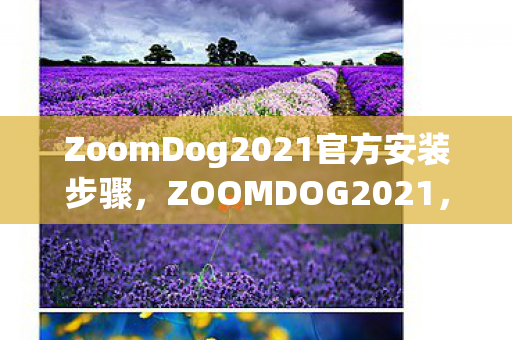 ZoomDog2021官方安装步骤,ZOOMDOG2021,探索游戏世界的无限可能 ZoomDog2021官方安装步骤,ZOOMDOG2021,探索游戏世界的无限可能