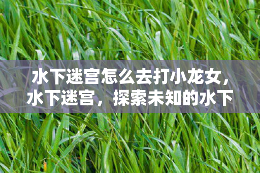 水下迷宫怎么去打小龙女,水下迷宫,探索未知的水下世界 水下迷宫怎么去打小龙女,水下迷宫,探索未知的水下世界