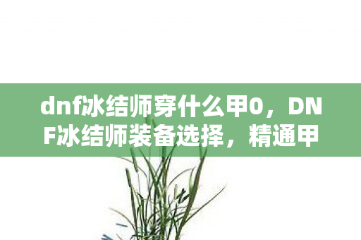 dnf冰结师穿什么甲0，DNF冰结师装备选择，精通甲胄与战斗风格