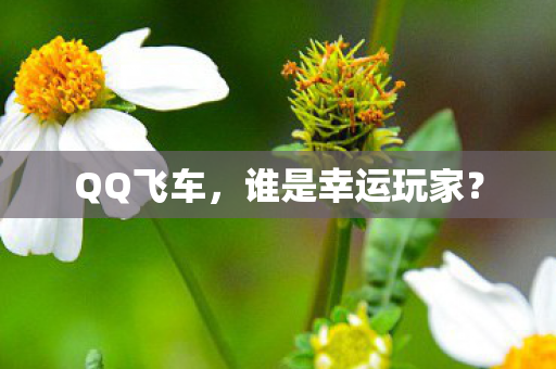 QQ飞车，谁是幸运玩家？