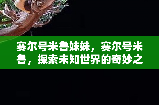 赛尔号米鲁妹妹，赛尔号米鲁，探索未知世界的奇妙之旅