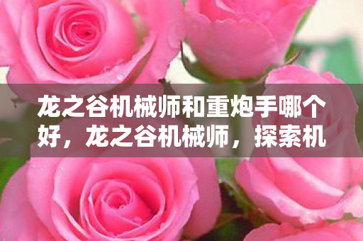 龙之谷机械师和重炮手哪个好,龙之谷机械师,探索机械之心的奥秘 龙之谷机械师和重炮手哪个好,龙之谷机械师,探索机械之心的奥秘