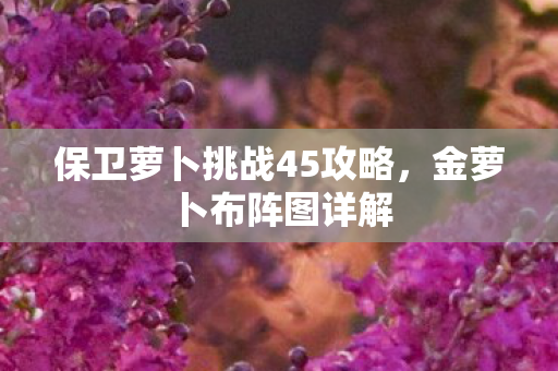 保卫萝卜挑战45攻略,金萝卜布阵图详解 保卫萝卜挑战45攻略,金萝卜布阵图详解