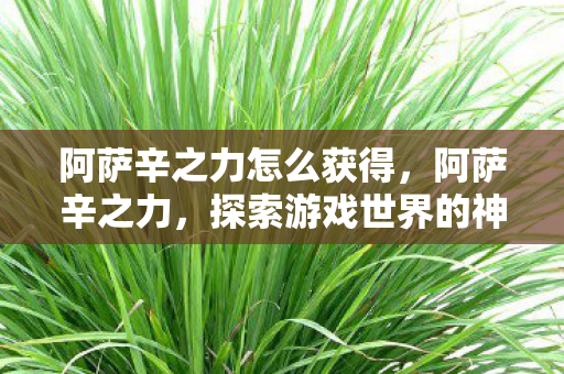阿萨辛之力怎么获得,阿萨辛之力,探索游戏世界的神秘力量 阿萨辛之力怎么获得,阿萨辛之力,探索游戏世界的神秘力量