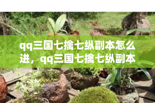 qq三国七擒七纵副本怎么进,qq三国七擒七纵副本,挑战与策略的深度解析 qq三国七擒七纵副本怎么进,qq三国七擒七纵副本,挑战与策略的深度解析