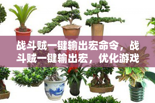 战斗贼一键输出宏命令,战斗贼一键输出宏,优化游戏体验的利器 战斗贼一键输出宏命令,战斗贼一键输出宏,优化游戏体验的利器