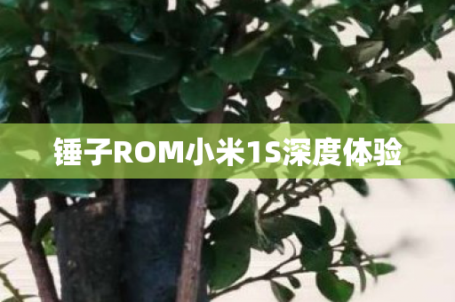 锤子ROM小米1S深度体验 锤子ROM小米1S深度体验