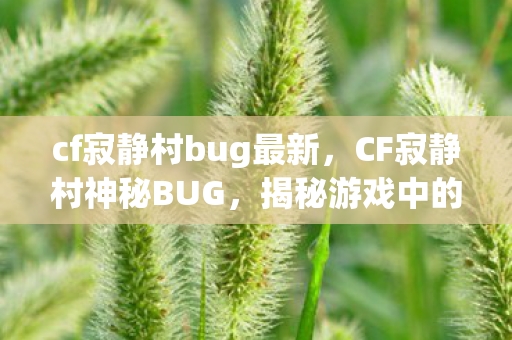 cf寂静村bug最新,CF寂静村神秘BUG,揭秘游戏中的未知异常 cf寂静村bug最新,CF寂静村神秘BUG,揭秘游戏中的未知异常
