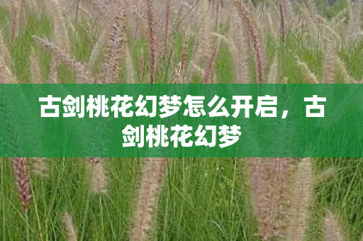 古剑桃花幻梦怎么开启，古剑桃花幻梦