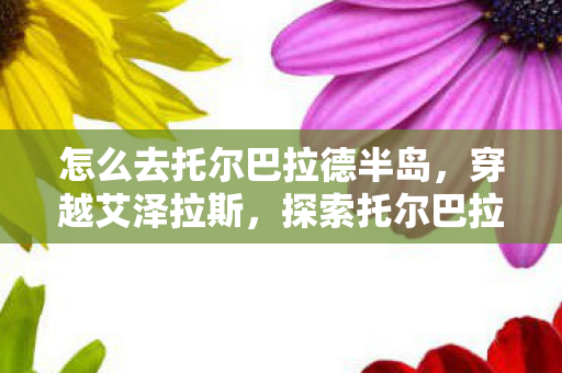探索托尔巴拉德的神秘之旅图片
