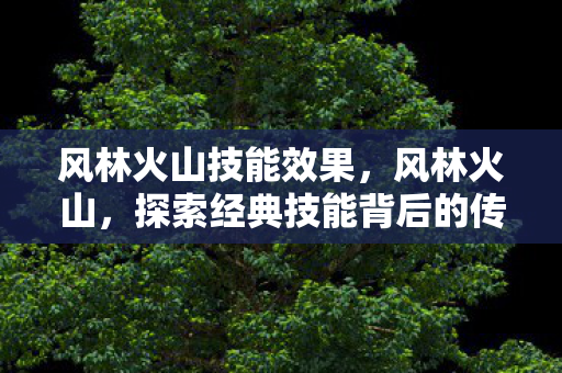 探索经典技能背后的传奇故事图片