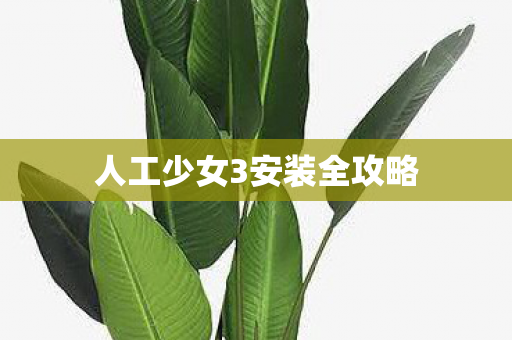 人工少女3安装全攻略 人工少女3安装全攻略