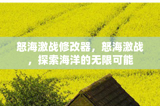 怒海激战修改器，怒海激战，探索海洋的无限可能