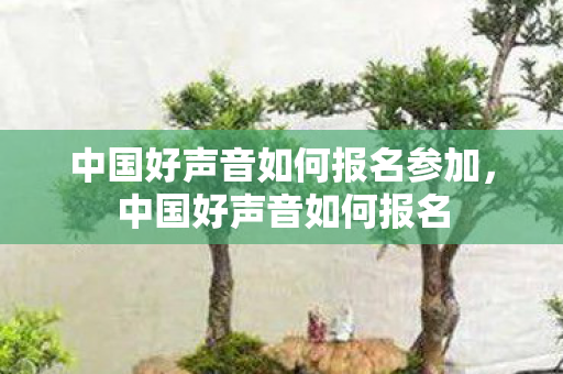 中国好声音如何报名参加，中国好声音如何报名