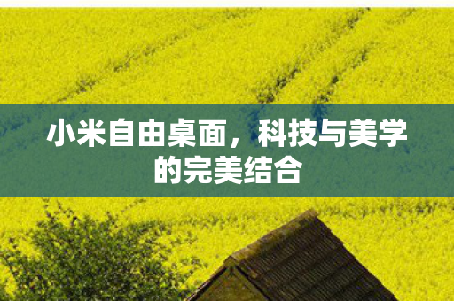 小米自由桌面,科技与美学的完美结合 小米自由桌面,科技与美学的完美结合