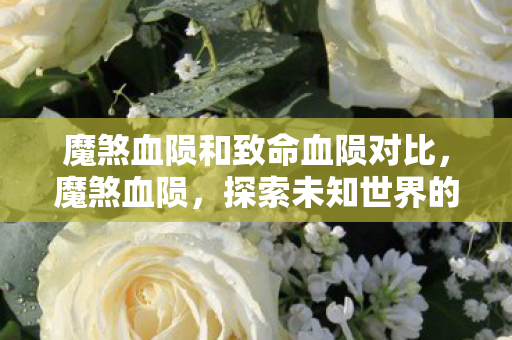 魔煞血陨和致命血陨对比,魔煞血陨,探索未知世界的奇幻之旅 魔煞血陨和致命血陨对比,魔煞血陨,探索未知世界的奇幻之旅